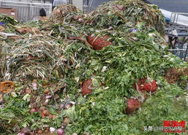 家用饮料瓶破碎机的简单介绍