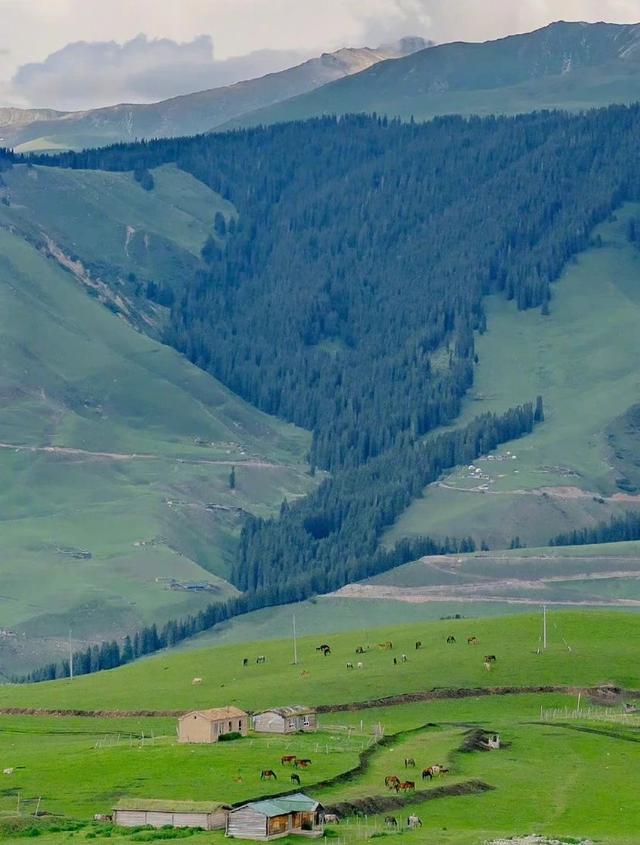 [苹果快乐星球语音群发]，微信怎么上传动态图到朋友圈