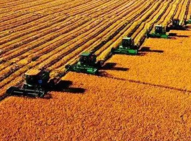 世界粮食危机正在靠近？中国粮仓还安全吗？专家又是如何看待的