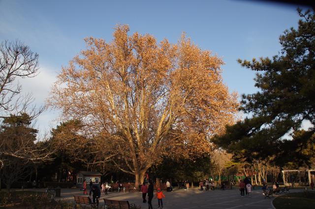 周六遊北京-日壇公園