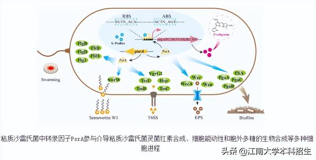 江苏“双一流”：登上Nature引发国际关注，如今23位学者入选“全球榜单”