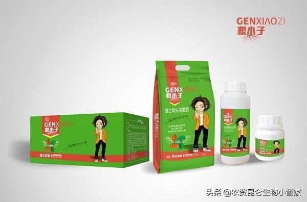 棉花枯萎病用什么药治疗？棉花枯萎病流行的条件和有效预防措施2