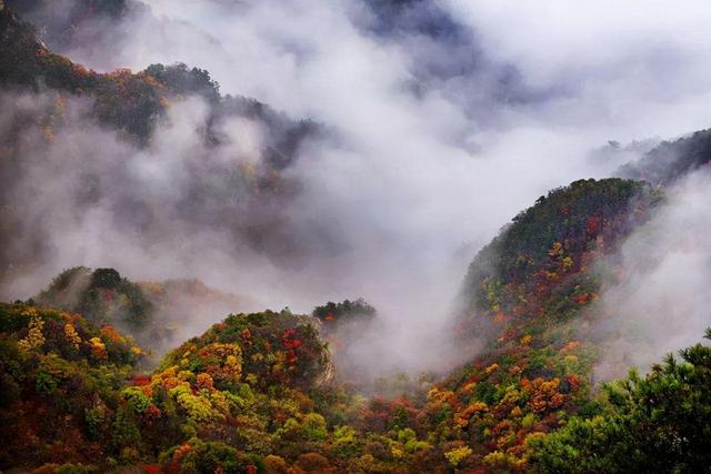 河南3個最美灣景景區，你去過嗎？最喜歡誰家？