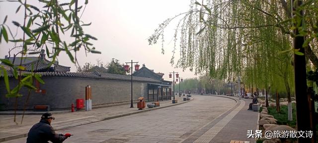花开杨柳青