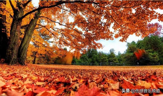 在这城市里有多少人和我一样为了生活拼搏