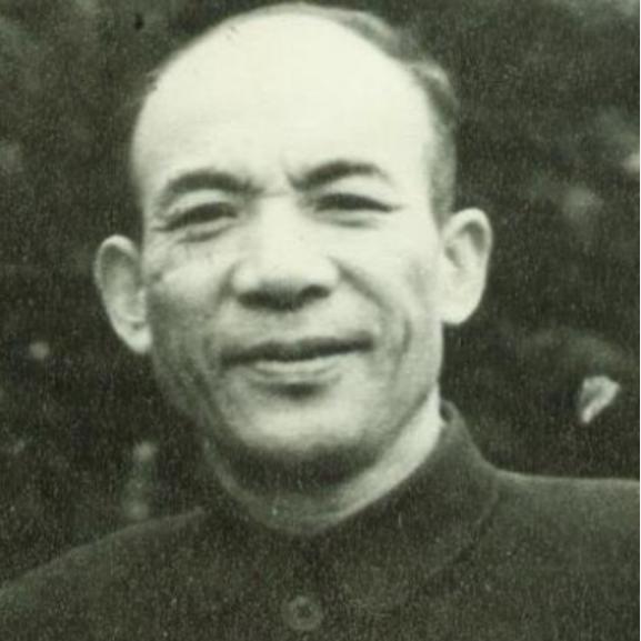 55年浙江一农民朝毛主席专列扔石头，被捕后，该如何处置？
