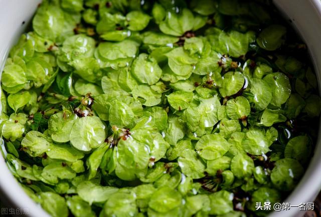野菜有哪些 野菜有哪些（能吃的野菜有哪些） 生活
