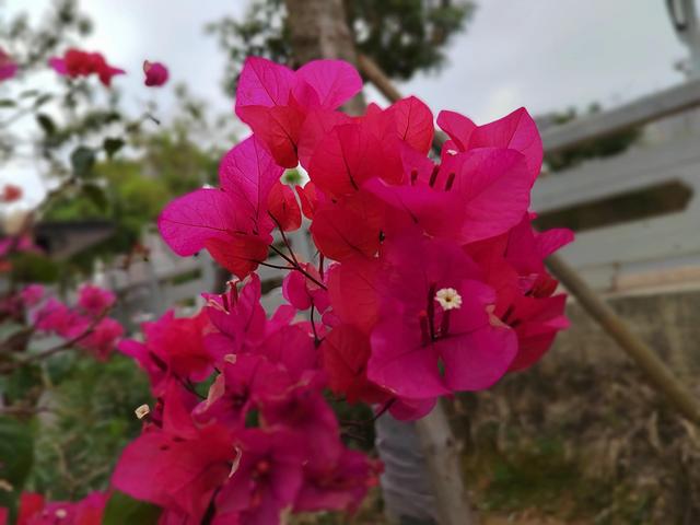 立夏修行德与才