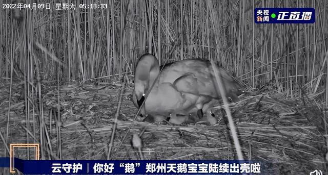 放假通知/郑州发布59号通告/郑州通报1例确诊病例和2例无症状感染者活动轨迹/河南核酸检测价格下调