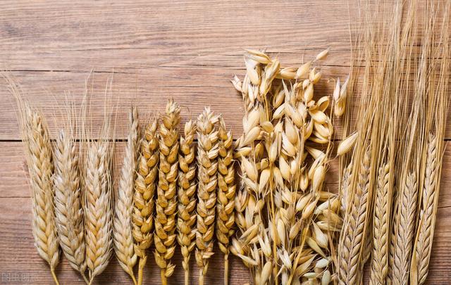 15种帮你抵御慢性疾病最佳的健康食品