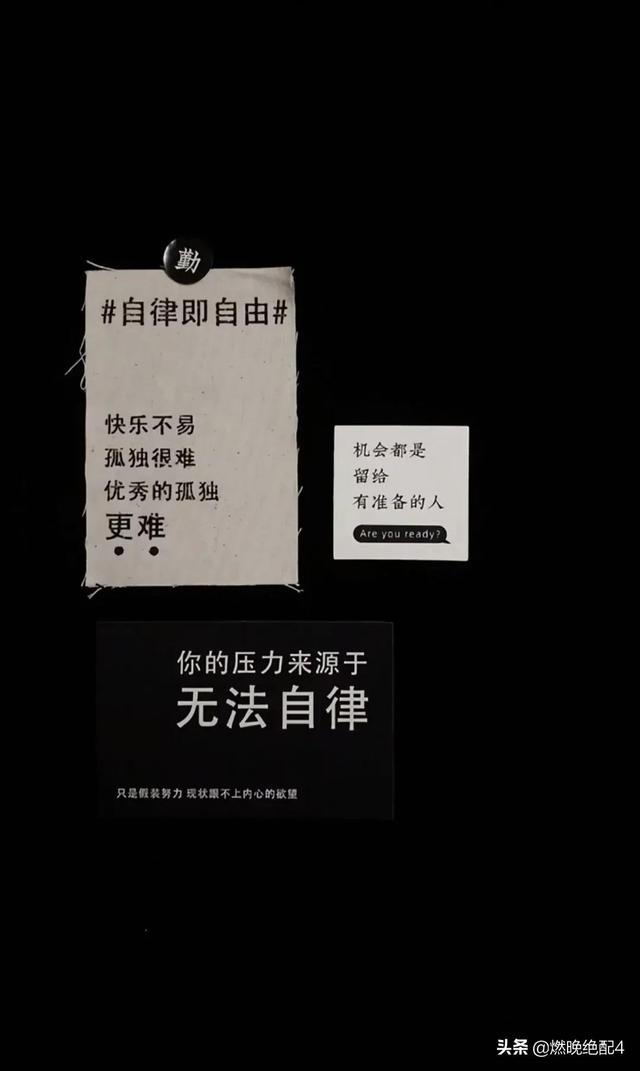 腹有诗书气自华，岁月从不败美人！#董卿