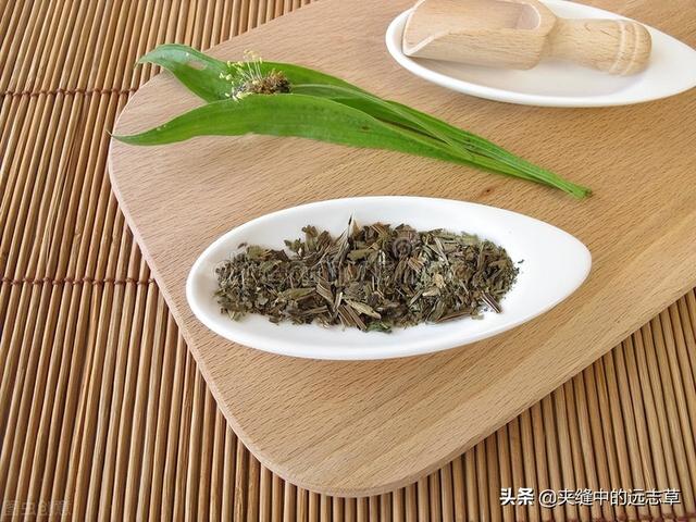 夏之将至，送你一味白花蛇舌草，解热毒、消疮痈、利小便