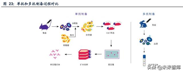 成都膜过滤机报价