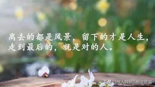 感悟人生的经典句子