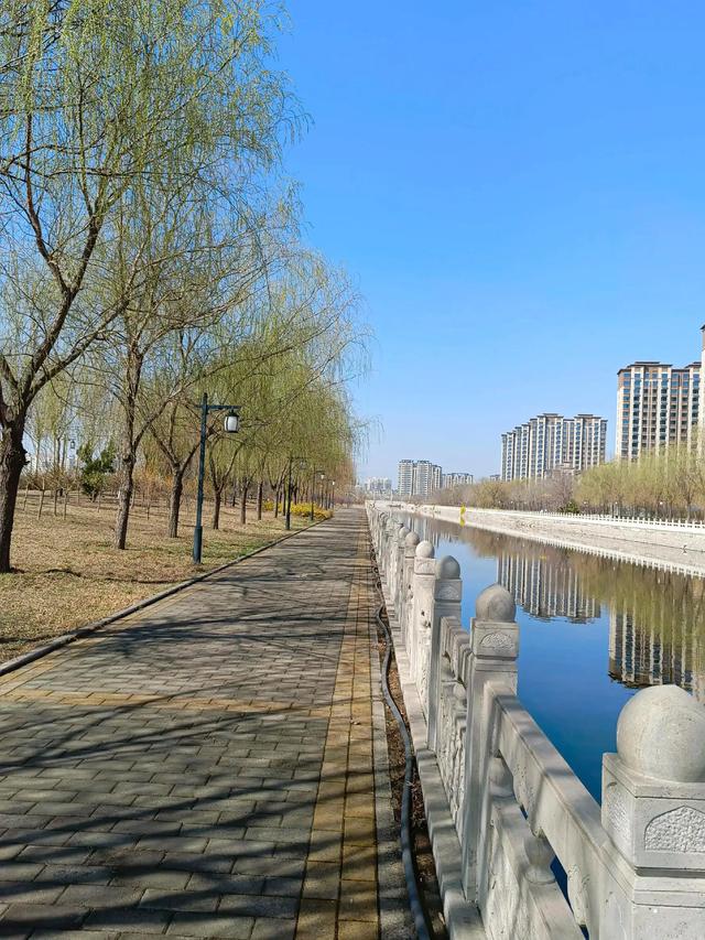 散文：在疫情居家的日子，开一朵心花香