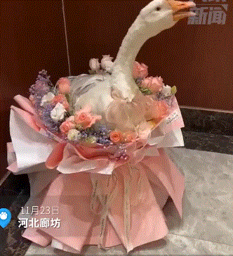 今日科技热点：印度还能要脸吗？明目张胆偷北京大兴机场图炫耀？