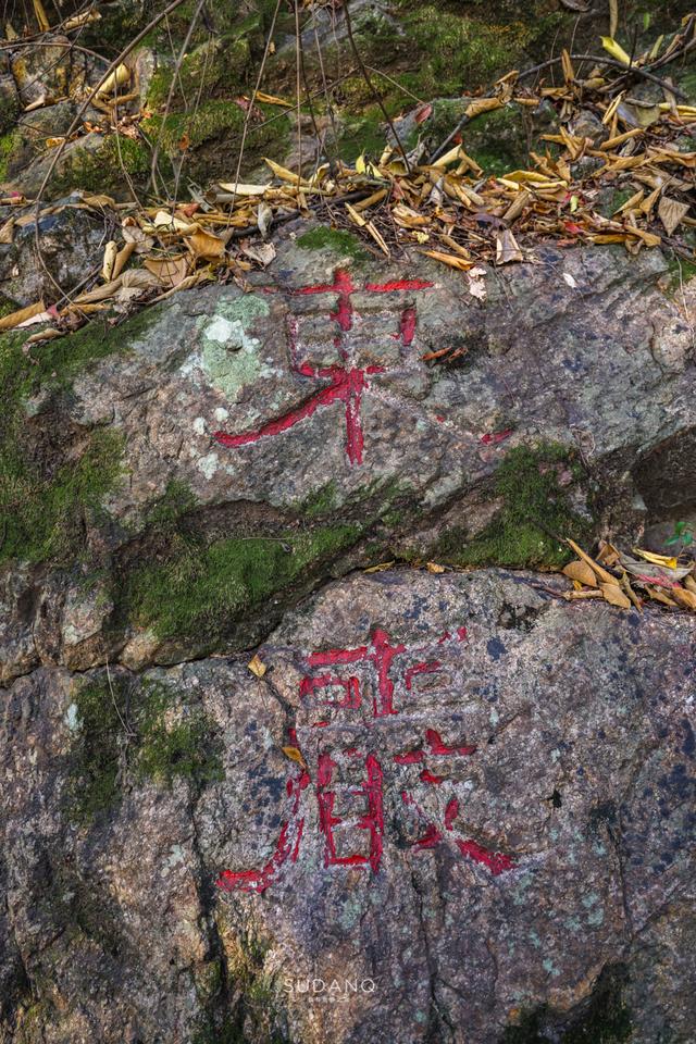 武漢寶通禅寺：在千年皇家寺院賞秋，是什麽感覺？