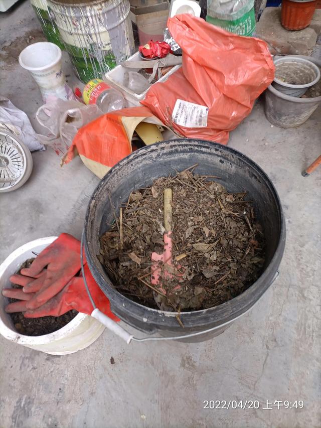 生活随笔记