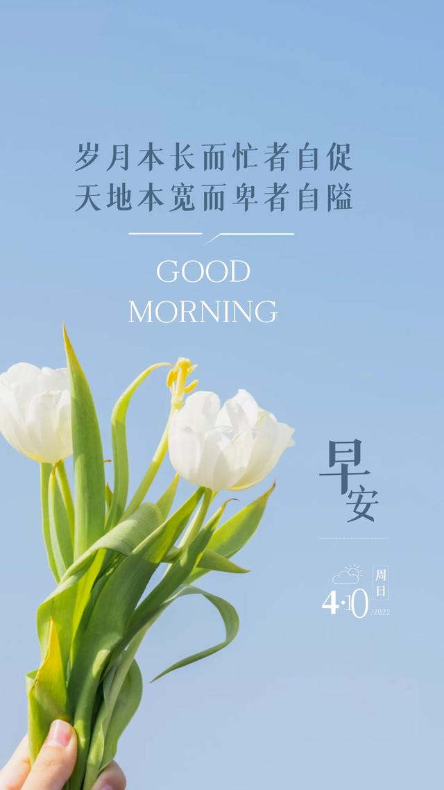 早安心语图片正能量语录，心向暖阳，逆风飞翔