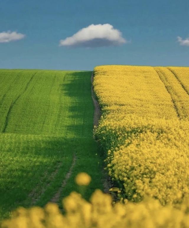 [苹果快乐星球语音群发]，微信怎么上传动态图到朋友圈