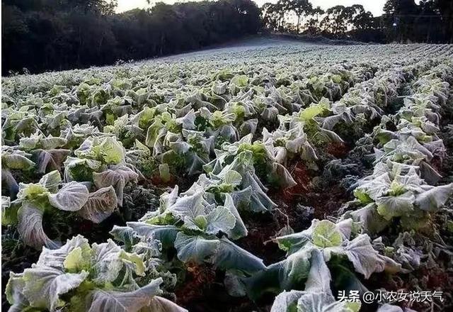 天气预报：寒潮级超强冷空气来袭，猛降10度！夏天冻哭？农谚咋说