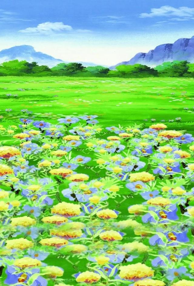 美丽的鲜花，姹紫嫣红，令人心情大好