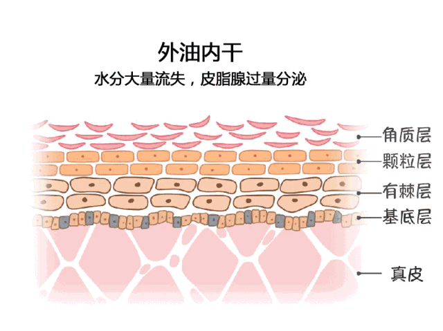 鸡皮肤哪个牌子好