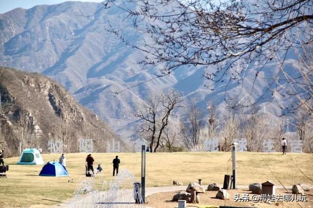 搭帐篷、放风筝、草坪疯跑，山谷里的遛娃宝地，快放入私藏名单