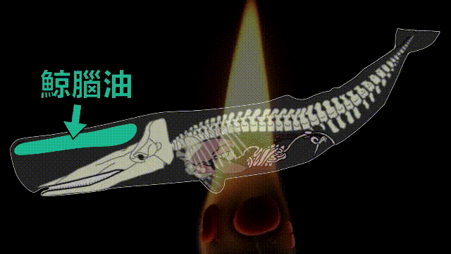 秦始皇陵：2002年考古学家全面勘探了秦始皇陵，五个惊奇浮出水面