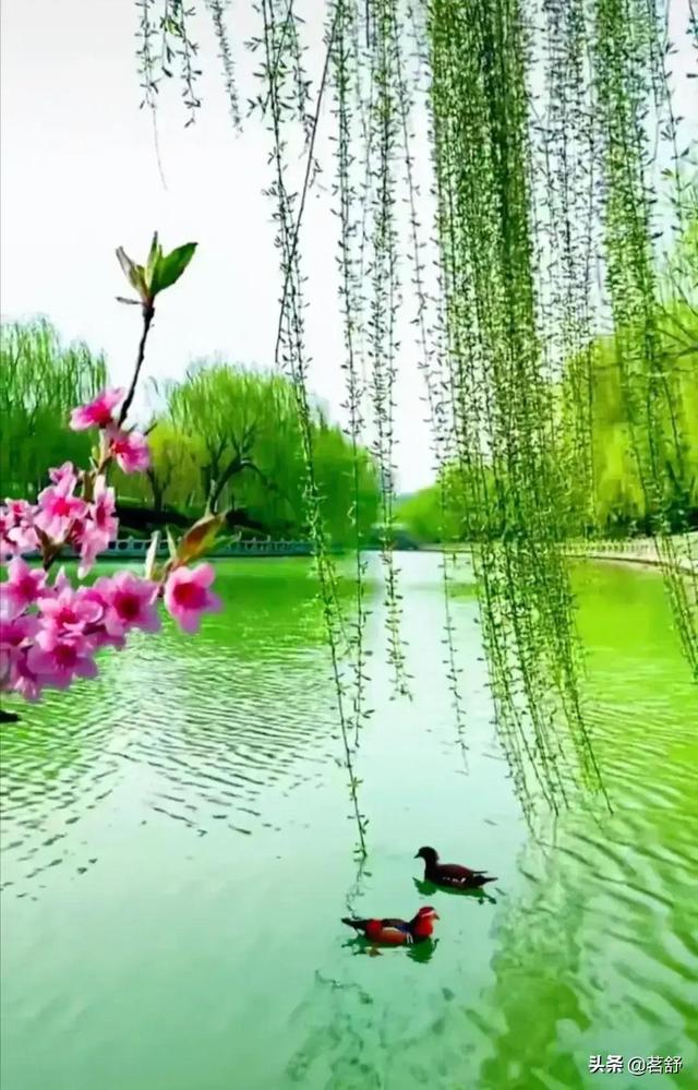 四月芳菲春意浓