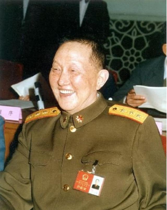 1994年，林彪女儿提出两个请求，陈云急召洪学智：交给你去办