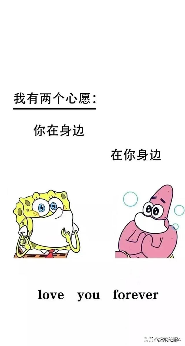 腹有诗书气自华，岁月从不败美人！#董卿