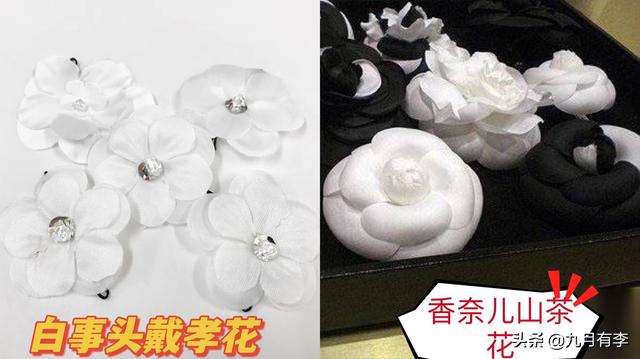 送老师送什么花