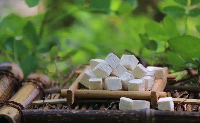 百味本草｜千年茯苓，为什么苏辙和慈禧太后都爱它？