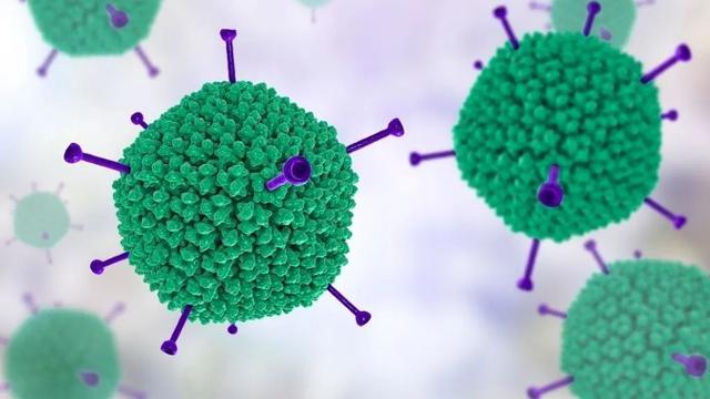 全球十国出现不明原因肝炎 严重者需要肝移植 患者多数曾确诊新冠