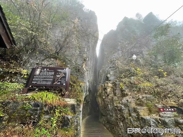 絕美奇景！法國女探險家曾喪命 直擊億年大峽谷