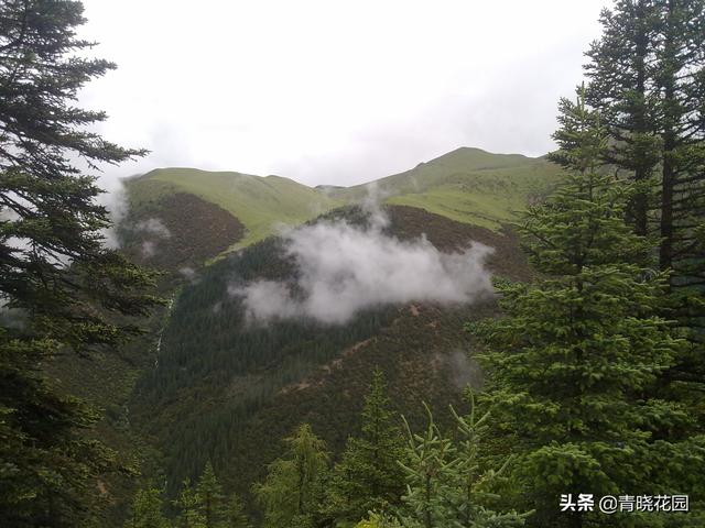 川藏騎行日志：高原之上的噩夢