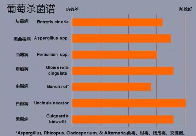 揭秘杀菌市场冠军——嘧菌酯热度不减的秘密8