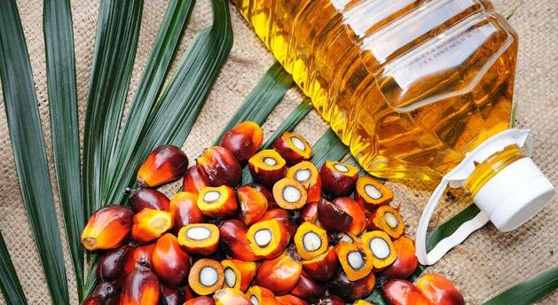 棕榈油是什么油（棕榈油是什么油是反式脂肪酸吗）