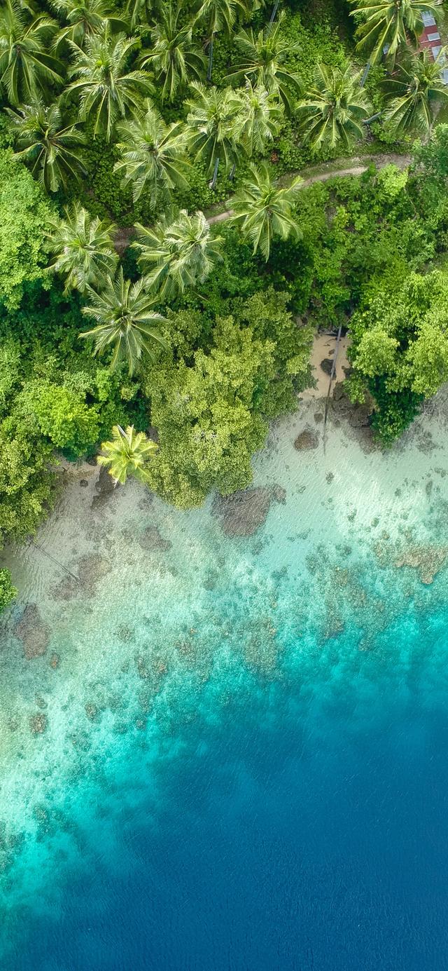 小蜜蜂万群同步,风景唯美简约干净壁纸插图(10)