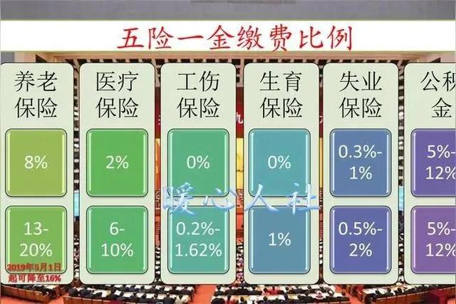 社保养老保险怎么查询缴费记录_社保与养老保险_社保养老保险档次及费用