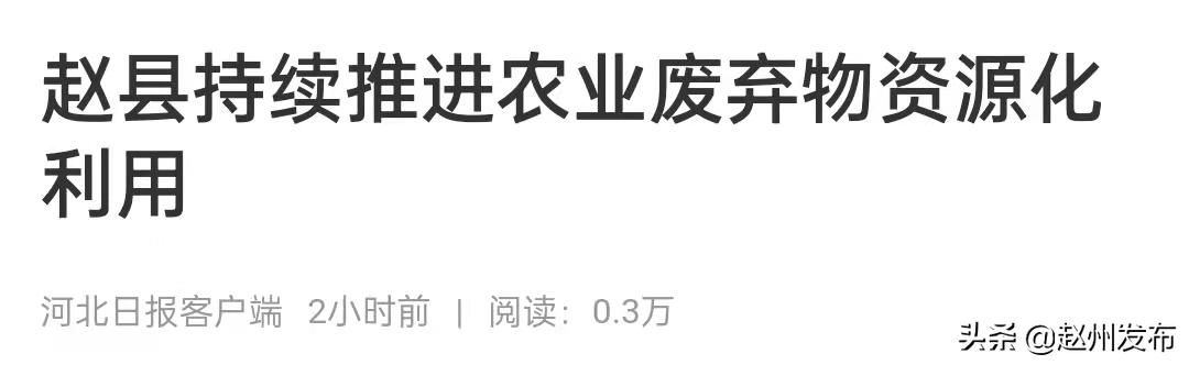 广州鑫农玉米芯破碎机
