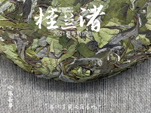 普洱洗砂机厂家价格