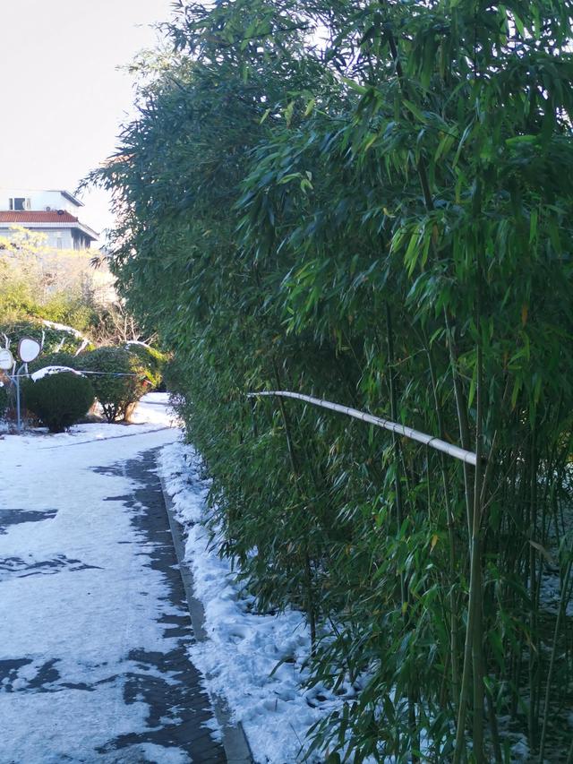 紫清山房瑣記（175）遊環翠樓