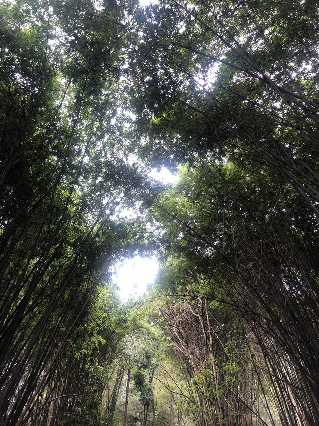 一不小心又成了夜遊~周末街子古鎮康道徒步到光嚴禅院~腳都走麻了