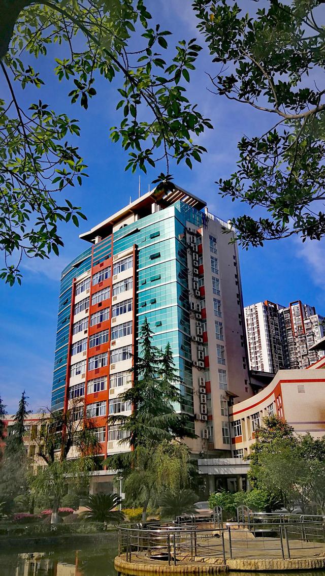 夏日里，美丽校园
