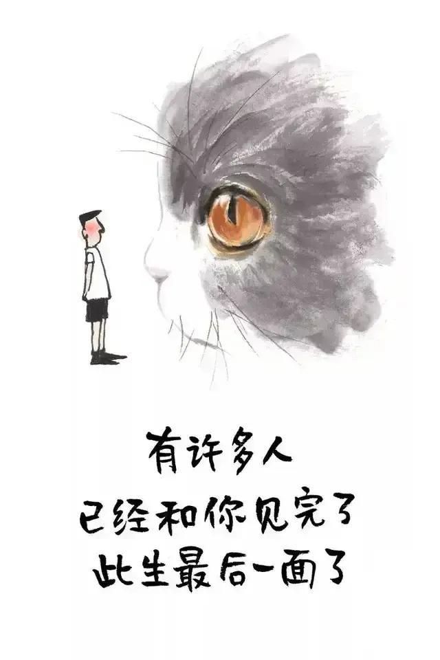 扎心的人生箴言，刺骨的人生真理