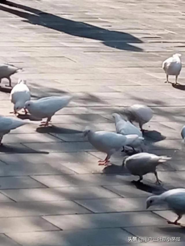 人为什么老实，老实人又有什么特质呢？