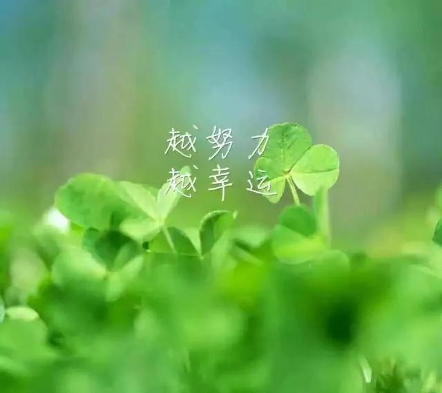 认清现实人际关系 反思吸取血泪教训