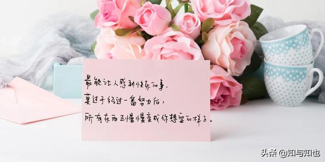 抄书第80天，每日寄语，温暖你我4～愿你依然生如夏花，笑如温阳